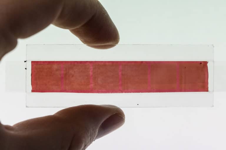 Portare il sole addosso, e ricaricarsi grazie alla perovskite