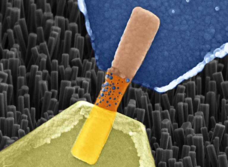Dal Politecnico di Torino un dispositivo che emula le sinapsi umane