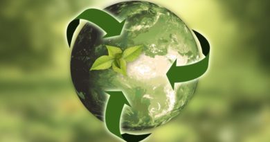 Sostenibilità ambientale