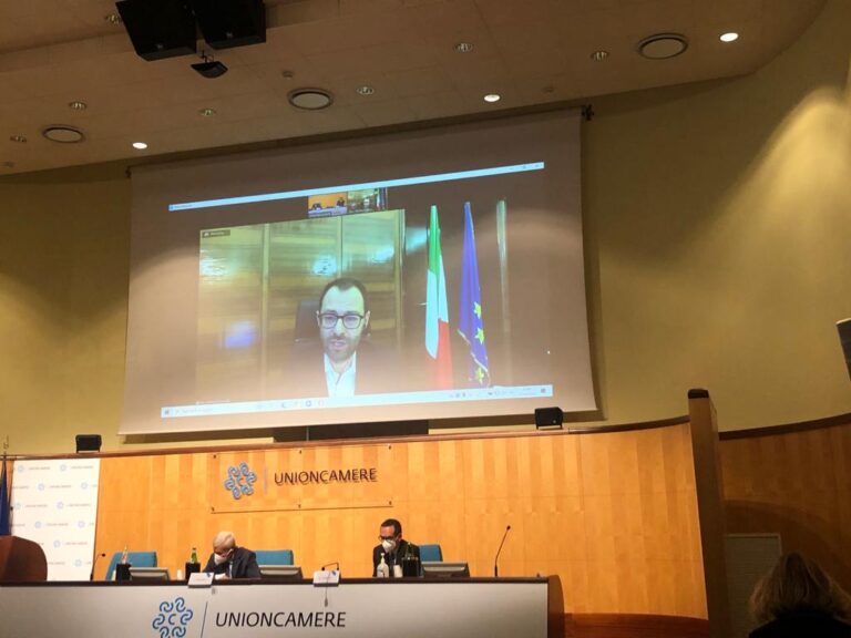Patuanelli: "Commissarieremo le Camere di commercio che non si sono accorpate"