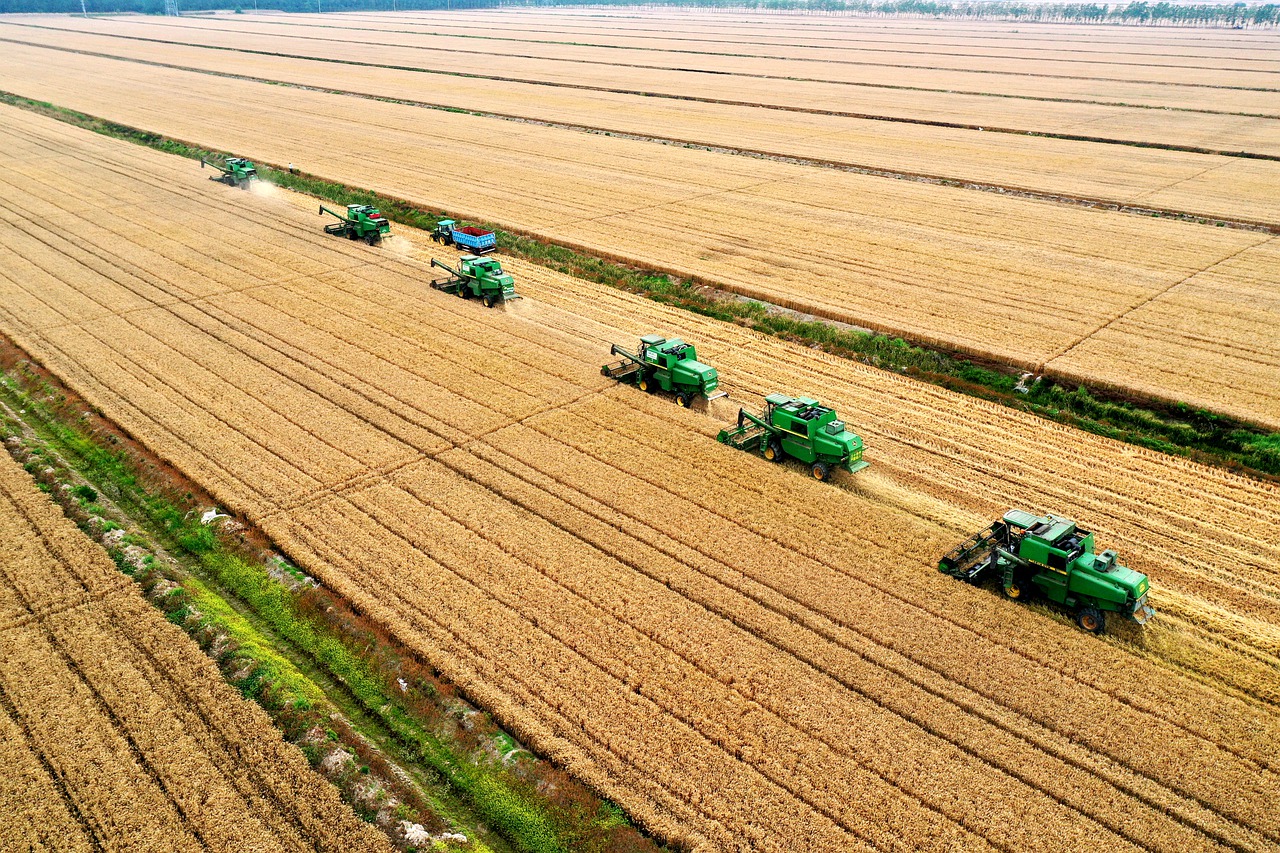 Agricoltura 4.0, nel 2022 il mercato italiano supera i 2 miliardi: +31% sul 2021