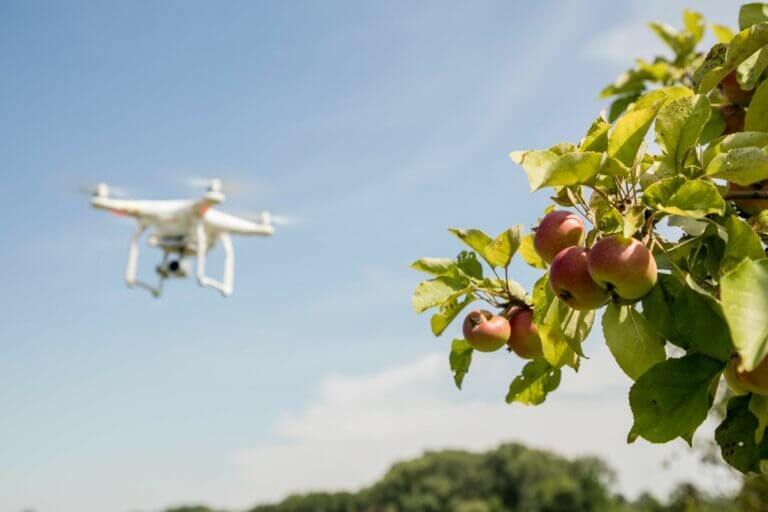 Come proteggere l'ambiente grazie all'utilizzo di droni: il progetto Audi dedicato alla biodiversità