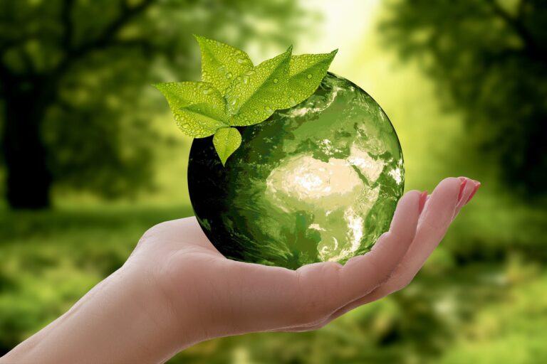 L’ESG transition di Credem: più digital, focus su ambiente, investimenti in competenze